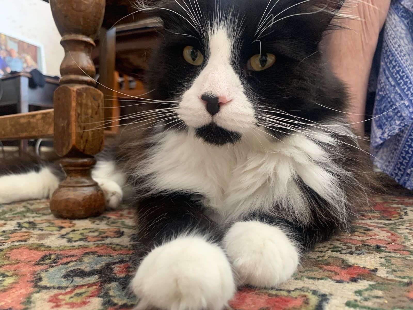 Winston