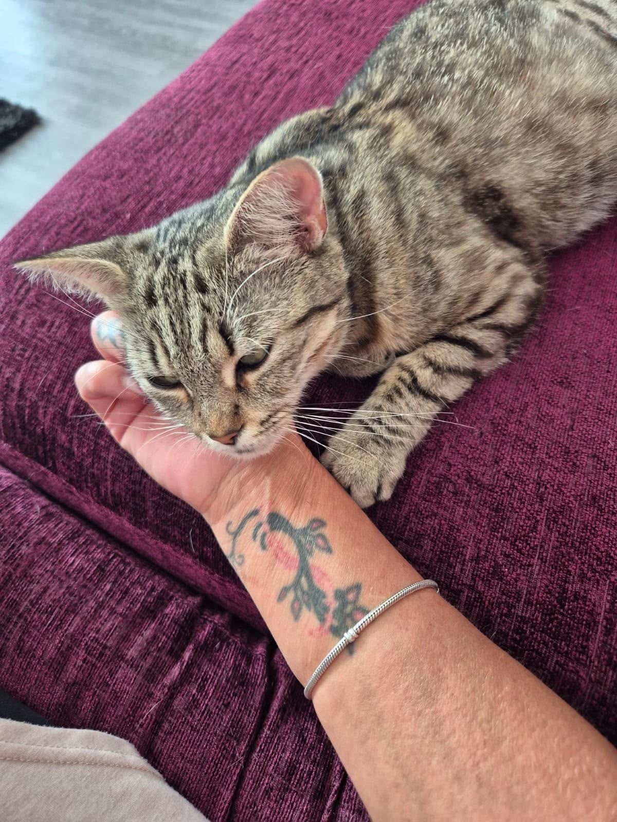 Mitzy